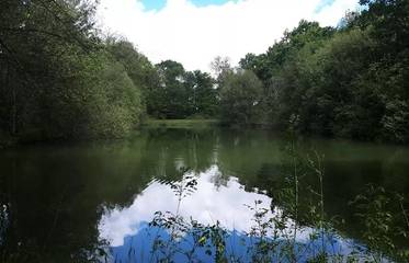 Camping voor 4 Personen in Villeneuve-sur-Lot en omgeving, Lot-et-Garonne, Afbeelding 3