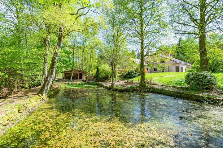Location de vacances pour 12 personnes, avec jardin et vue sur le lac ainsi que sauna et piscine, animaux acceptés à Saint-Hubert