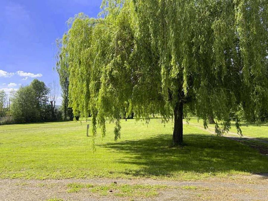 Camping Ile d'Amour - Stacaravan 4 personen - Loggia Nature 2-slaapkamer stacaravan in Pont-sur-Yonne, Yonne