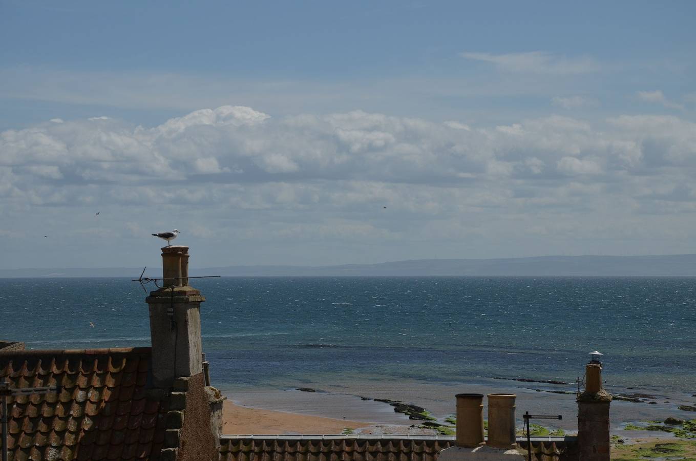 Tall Ship, Anstruther in Anstruther, Fife region