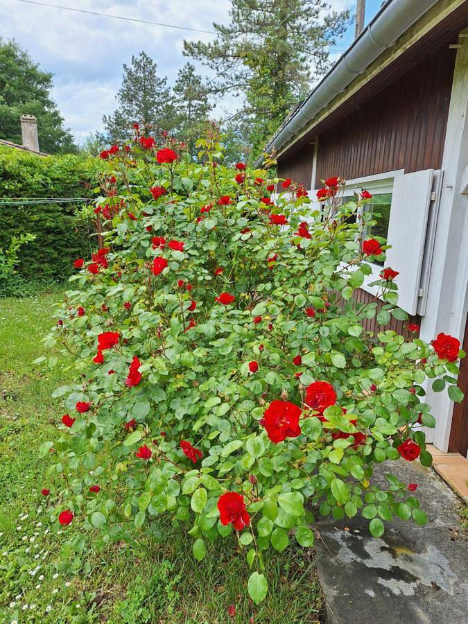 Location de vacances pour 4 personnes, avec piscine ainsi que jardin et vue à Mérignas - 2