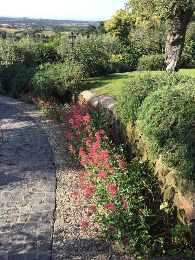 Olivella in Campagnano di Roma, Lago di Bracciano