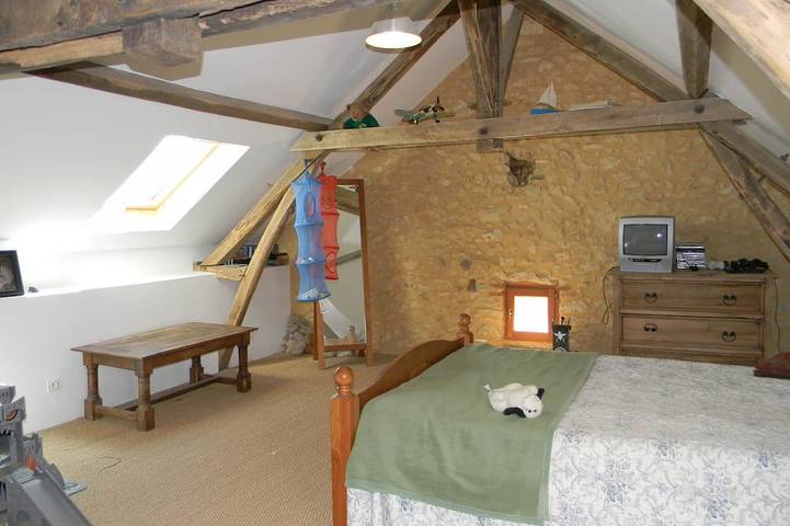 Location de vacances pour 10 personnes, avec terrasse et jardin à Monplaisant - 2