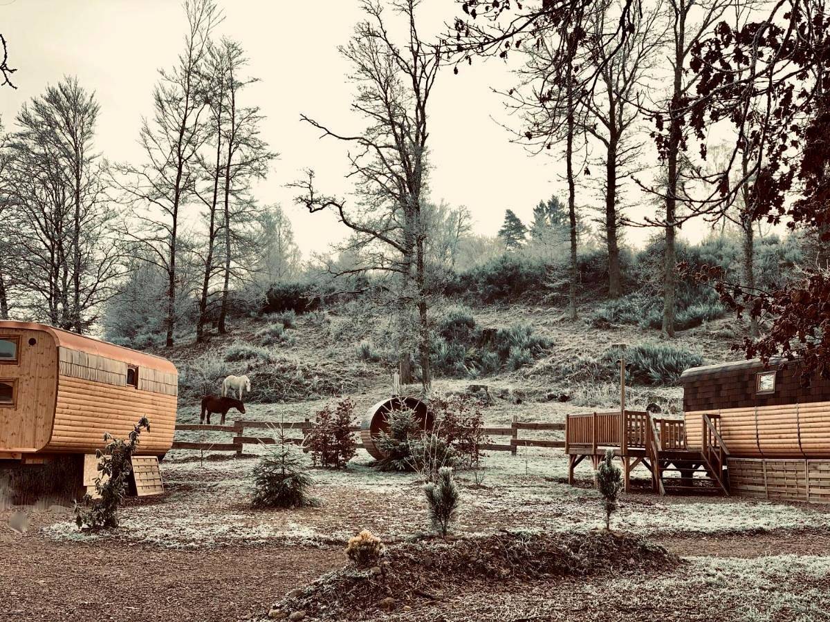 Ma Roulotte sous les Chênes "la passionnée" in Raon-aux-Bois, Région d'Épinal