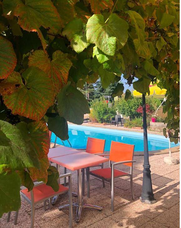 Hôtel pour 2 personnes, avec vue ainsi que piscine et jardin, animaux acceptés à Saint-Agrève - 4