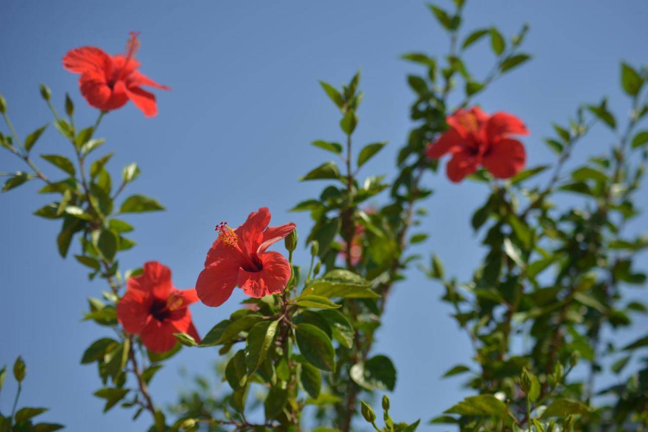 Donna Pulina Holidays in Pollina, Provincia di Palermo