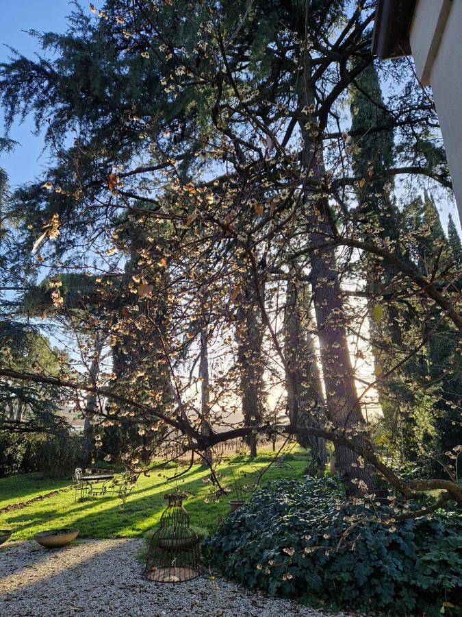 Calicanto - Dimora nel parco in Faenza, Provincia di Ravenna