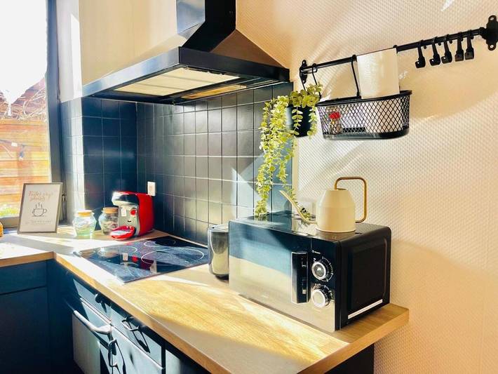 Gîte pour 4 personnes, avec terrasse, animaux acceptés à La Ferté-Saint-Aubin - 3