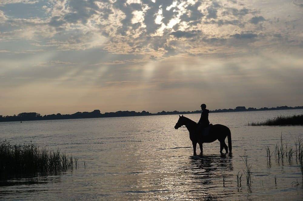 Ganze Wohnung, Ferienwohnung Rehkitz Nähe Elbinsel Krautsand in Drochtersen, Cuxland