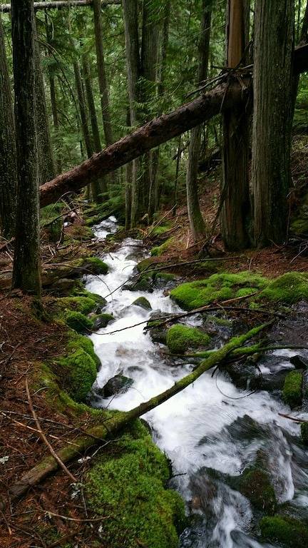 Am See Hütte in Cavanaugh Bay of Beautiful Priest Lake in Kaniksu Nationalwald