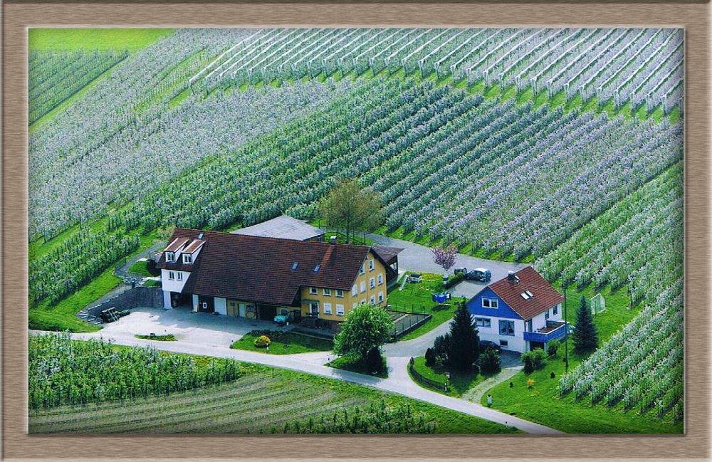 Ganze Ferienwohnung, Ferienhof Büchele - Ferienwohnung 1, 60qm, 2 Schlafzimmer, max. 6 Personen in Kressbronn am Bodensee, Region Bodensee-Oberschwaben