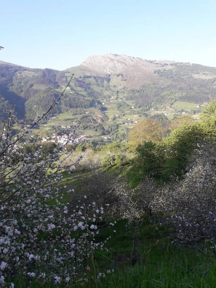 Casa rural para 16 personas en Guipúzcoa - 2