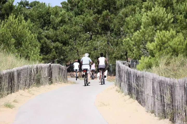 Camping pour 4 personnes, avec piscine et terrasse au Parc Naturel Régional du Marais poitevin - 3