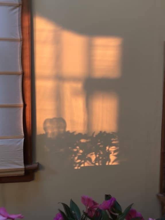 Expansive Land Haus, 7 Gelassene Acres mit Teich & Woods in Litchfield County