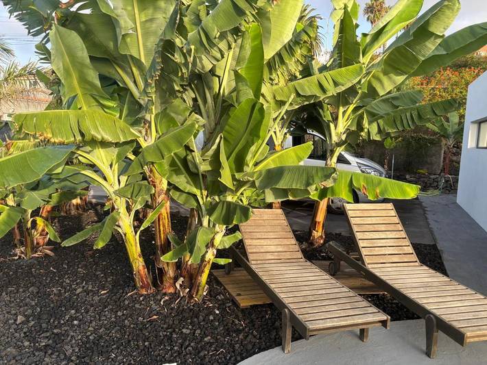 Ferienhaus für 4 Personen, mit Ausblick und Pool sowie Seeblick und Garten auf den Kanaren - 2