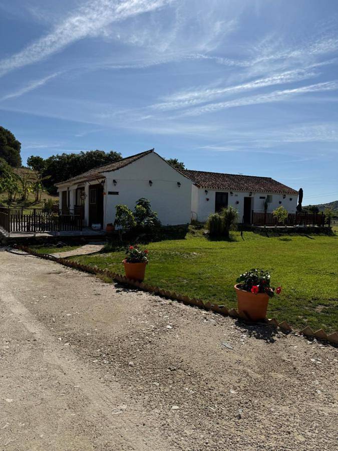 Finca für 3 Personen, mit Ausblick und Garten sowie Pool, mit Haustier in Casares - 4