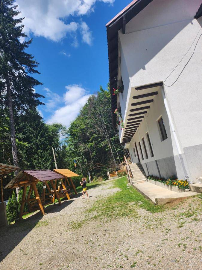 Triple Room with Bathroom in Walachia