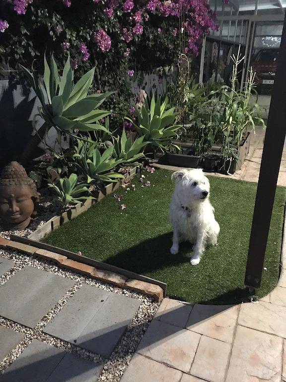 Burleigh Waters Retreat - Point of Difference - east coast holidays online in Queensland