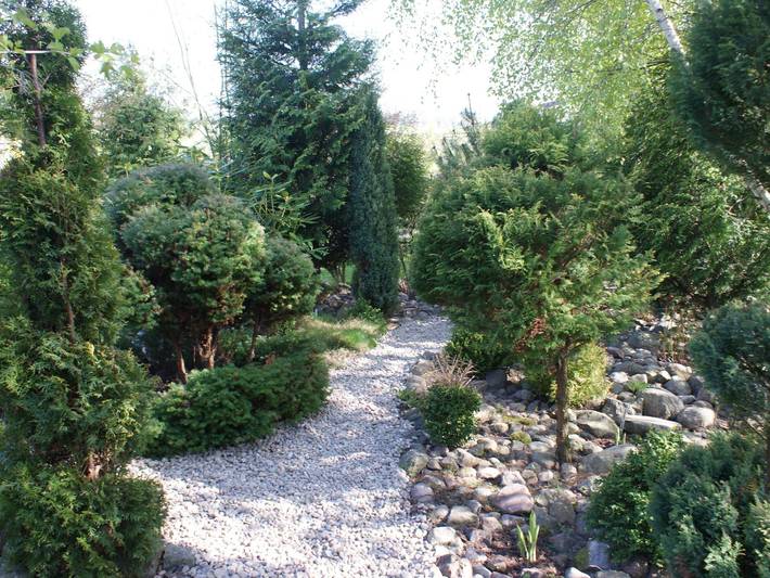 Bungalow für 4 Personen, mit Garten in Polnische Ostsee - 4