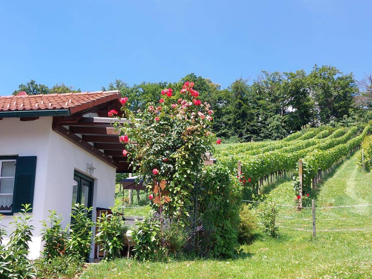 Ganze Wohnung, Wein & Wohnen Matzl - Ferienwohnung in Fürstenfeld, Steirerland