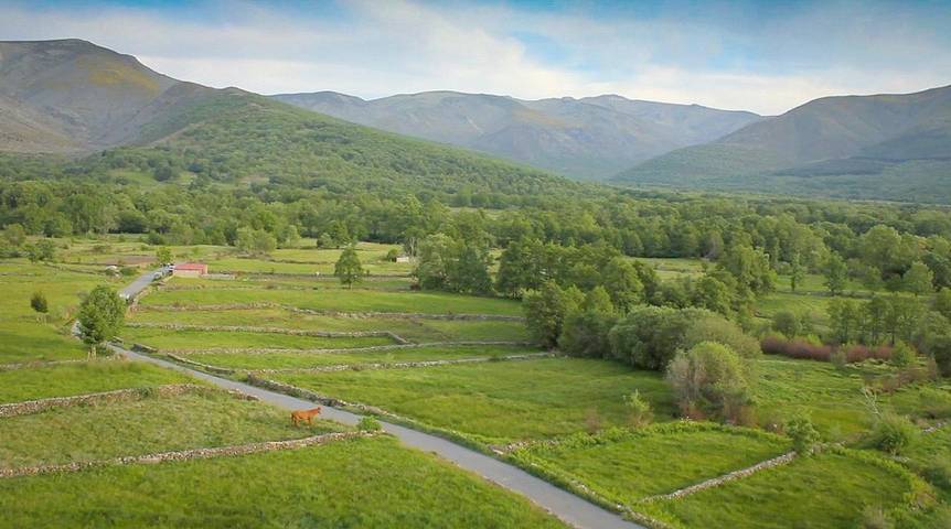 Casa rural para 3 personas, con Terraza además de Jardín y Vistas en Navalonguilla - 4