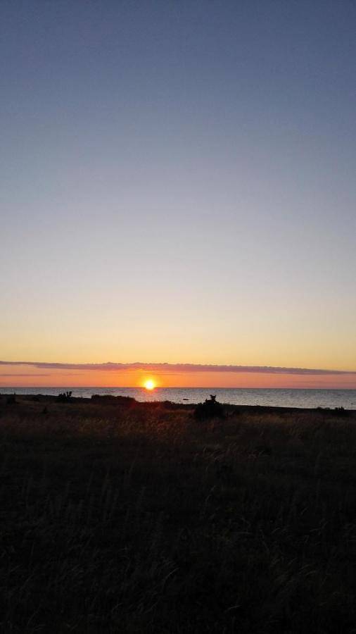 Camping für 4 Personen, mit Ausblick und Garten, mit Haustier in Saaremaa - 4