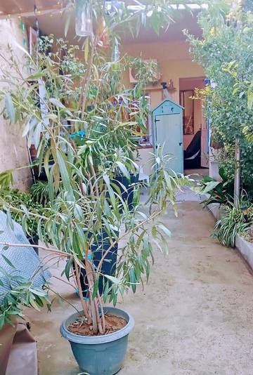 Gîte pour 2 personnes, avec terrasse et vue à Espira-de-l'Agly