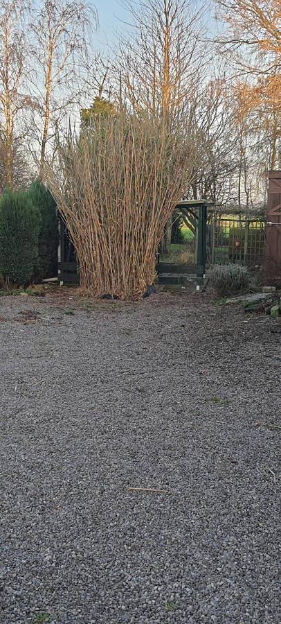 Gîte pour 2 personnes à Hazebrouck - 4