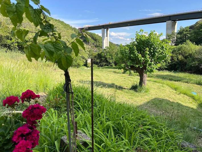 Location de vacances pour 6 personnes, avec vue ainsi que terrasse et jardin à Le Teil - 4