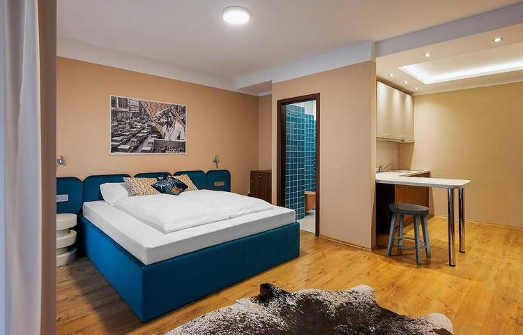 Chambre d’hôte pour 2 personnes, avec piscine et jardin à Budapest - 3