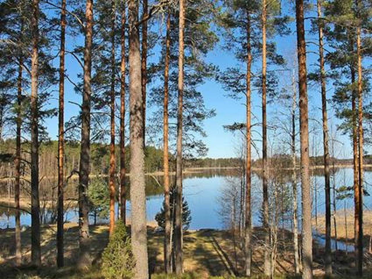 Näätämö in Asikkala, Päijät-Häme