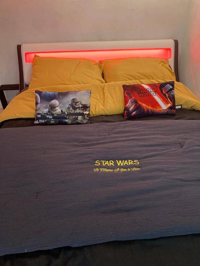 Appartement entier, Les Jedis Saint Jean de Losne, La Diligence & escape game immersif in Saint-Jean-de-Losne, Région de Beaune