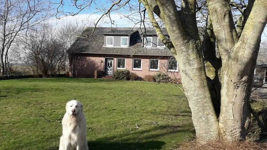 Bauernhof für 5 Personen, mit Garten auf Föhr