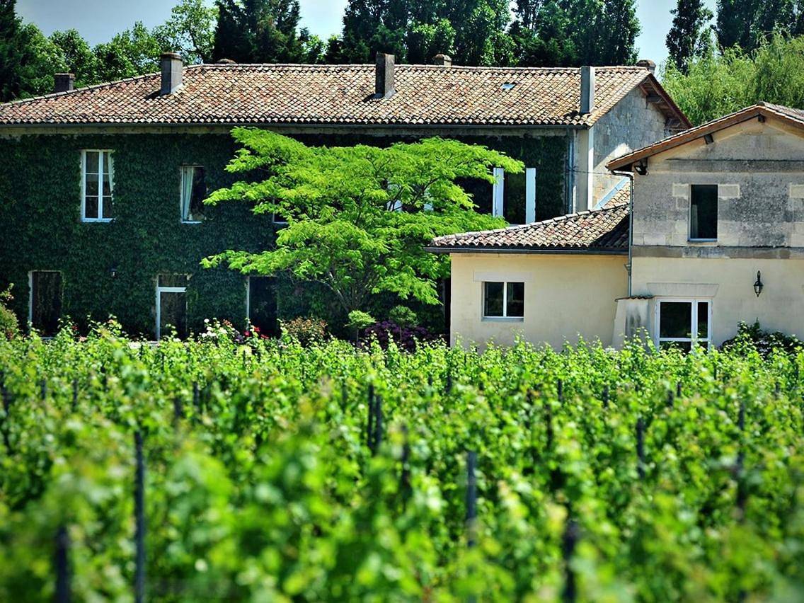 Petit Garros in Fronsac, Région de Libourne