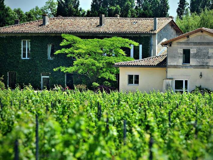 Gîte pour 2 personnes, avec vue, animaux acceptés à Fronsac - 4