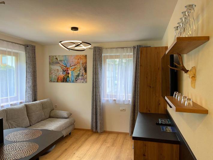 Apartamento vacacional entero, Top 4 in Schladming, Schladming-Dachstein