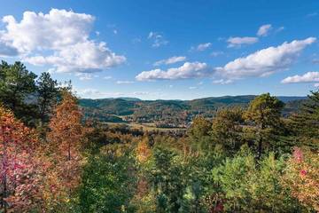 Log Cabin for 4 Guests in Wears Valley, Sevier County, Picture 3