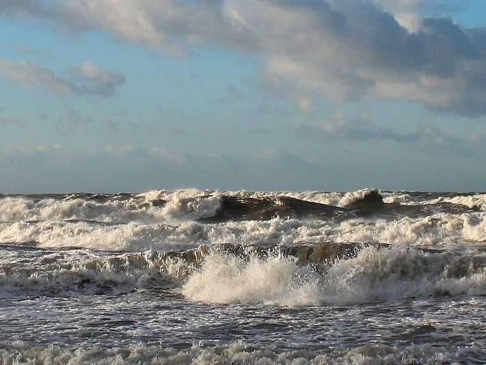 Ferienhaus für 4 Personen, mit Sauna und Garten, mit Haustier in Dranske - 4