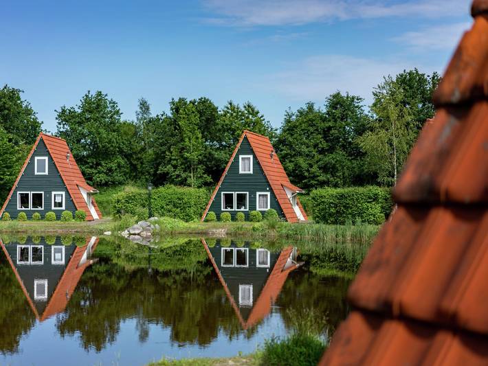 Freistehendes Chalet in ruhiger Landschaft in Bant, Ijsselmeer