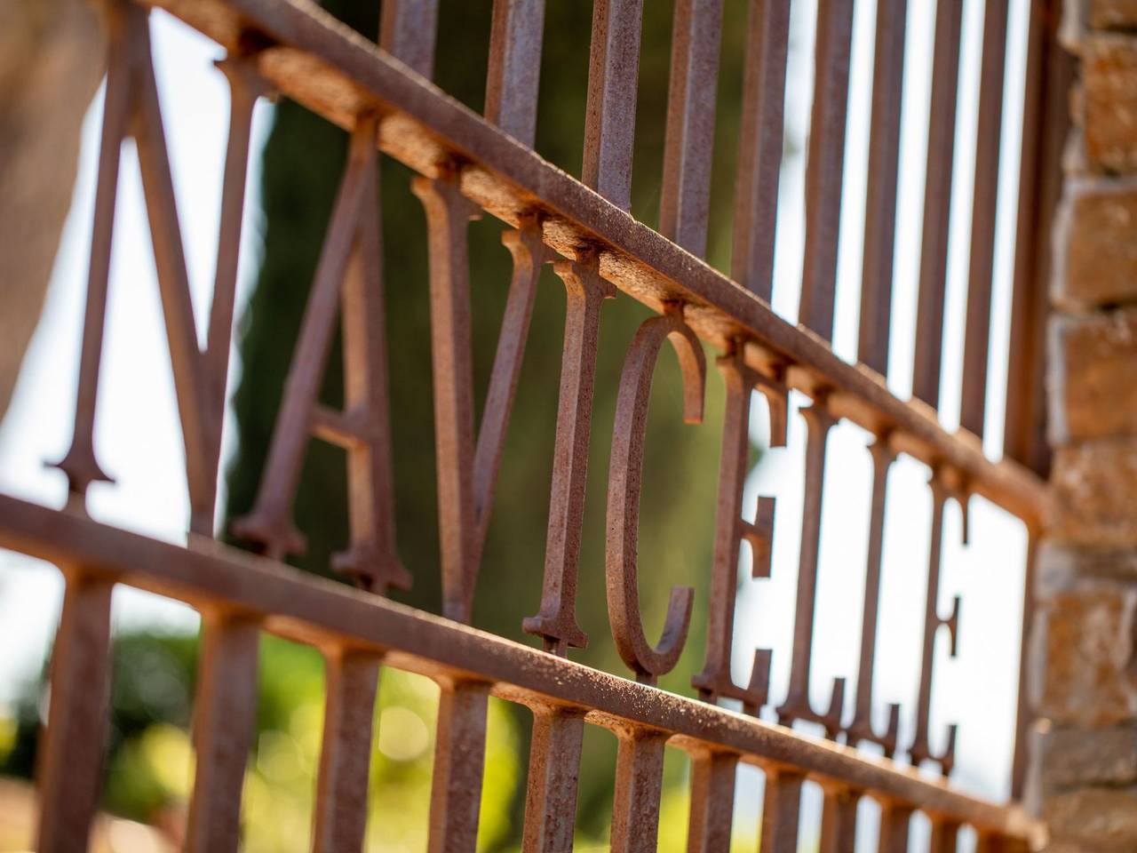 Im Herzen der Weinberge, schattige Terrasse umgeben von Grün, Pool in Le Pradet, Region de Toulon