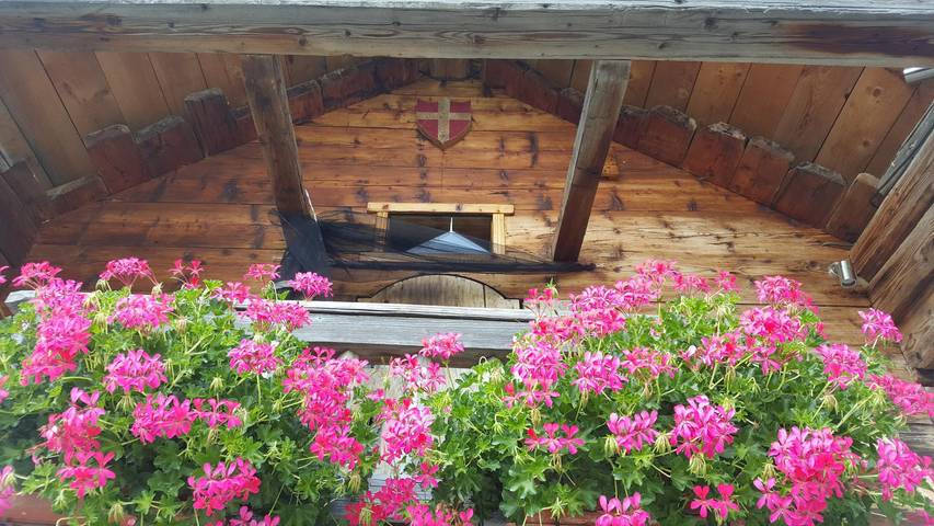 Gîte für 2 Personen, mit Terrasse und Garten sowie Sauna in Frankreich - 3