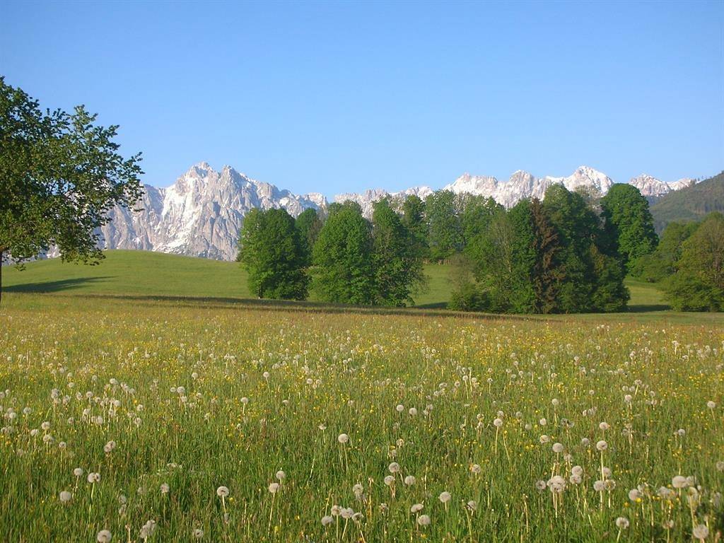 Ganze Ferienwohnung, Wilder Kaiser/2 Schlafräume/Balkon in Schwendt, Kaiserwinkl