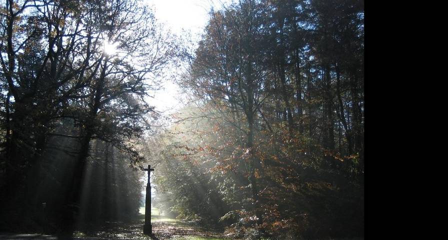 Gîte pour 4 personnes, avec jardin ainsi que piscine et vue à Plessé - 4