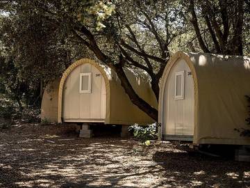 Bungalow voor 4 Personen in Saint-Pierre-d'Oléron, Charente-Maritime, Afbeelding 2