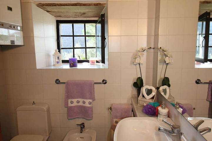 Cottage accogliente per animali domestici + piscina vicino a Firenze. Viste fantastiche Capannina. in Londa, Firenze province