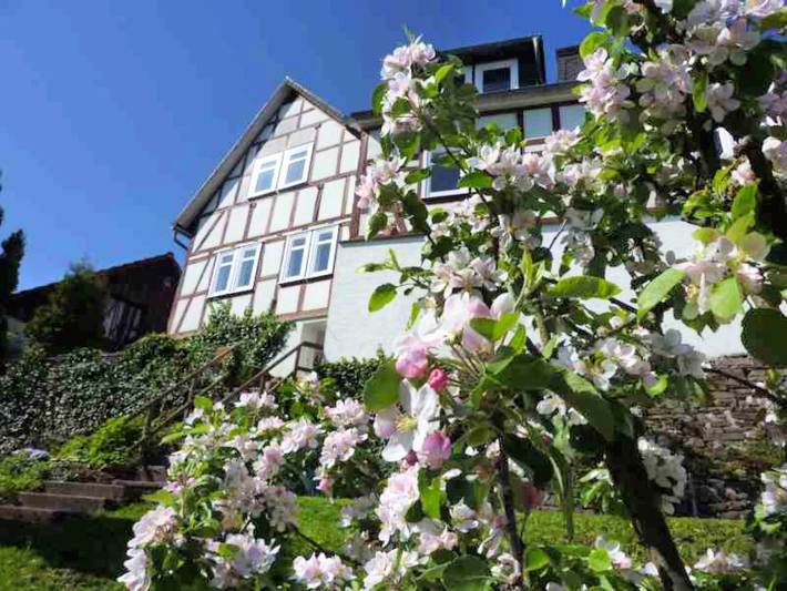 Ferienwohnung für 4 Personen, mit Haustier in Battenberg