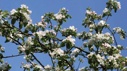 Ferienwohnung für 4 Personen in Gummersbach, Oberbergischer Kreis, Bild 4