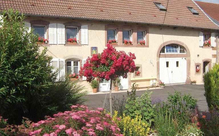 Chambre d’hôte pour 2 personnes, avec terrasse, animaux acceptés à Niderviller