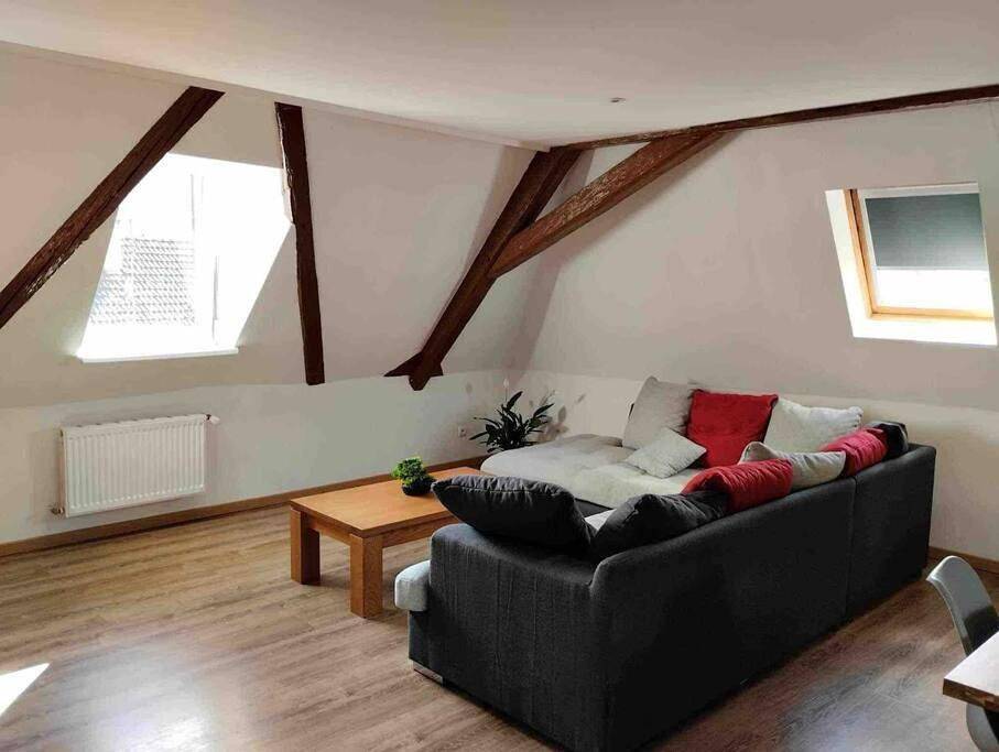 Appartement entier, Two-Bedroom Apartment in Fellering, Parc naturel régional des Ballons des Vosges