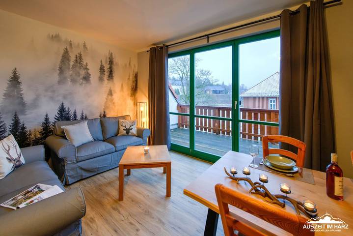 Ferienwohnung für 4 Personen, mit Garten und Balkon, mit Haustier im Harz - 2